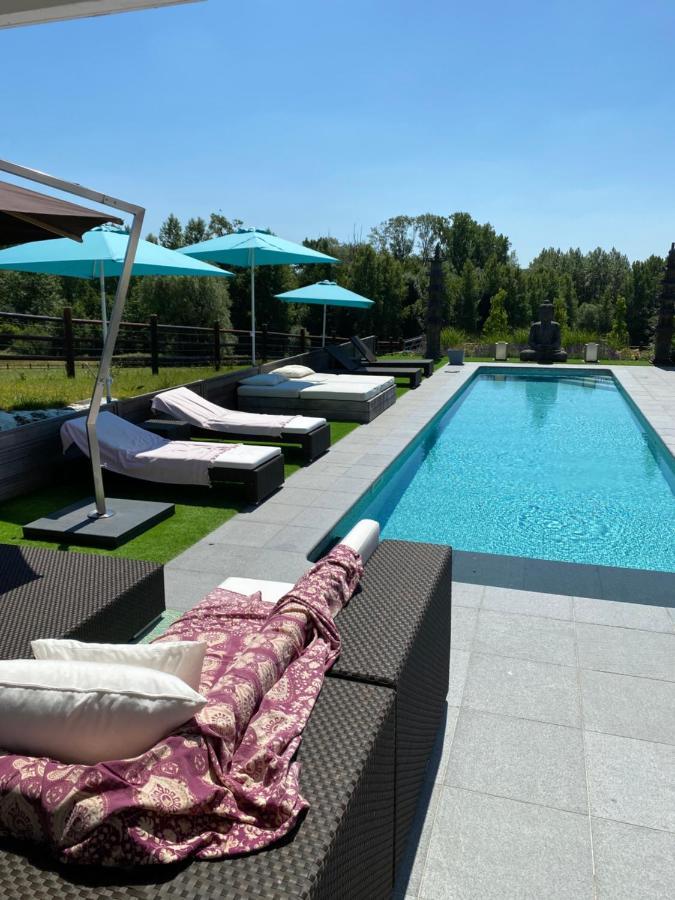 B&B La Douceur De La Miclette Ellezelles Bagian luar foto