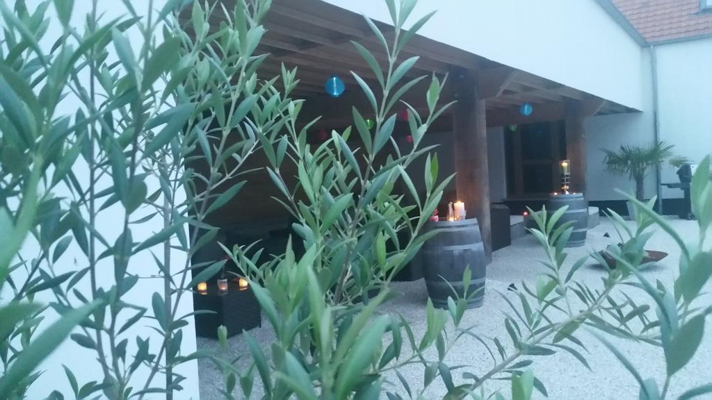 B&B La Douceur De La Miclette Ellezelles Bagian luar foto