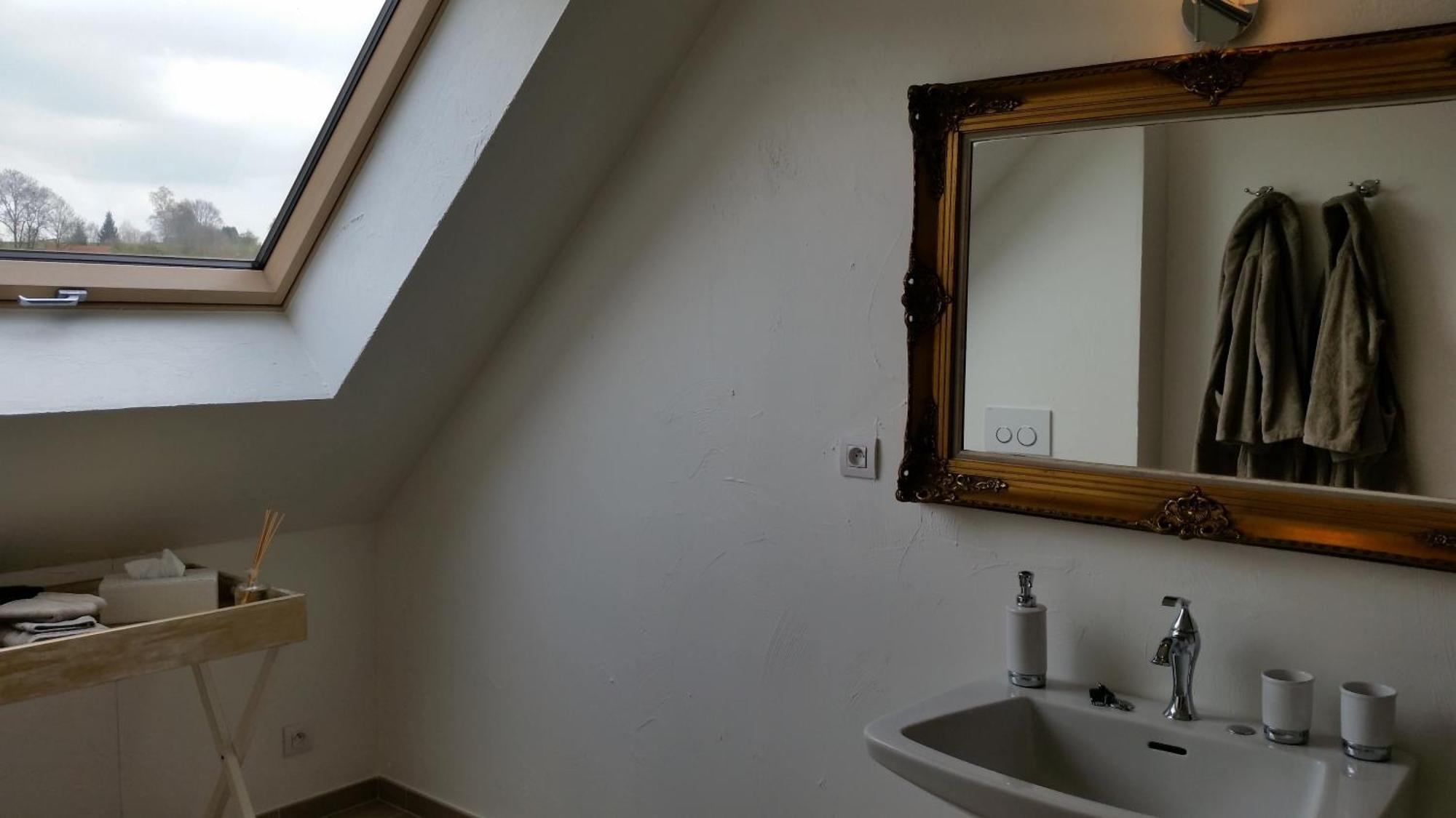 B&B La Douceur De La Miclette Ellezelles Ruang foto