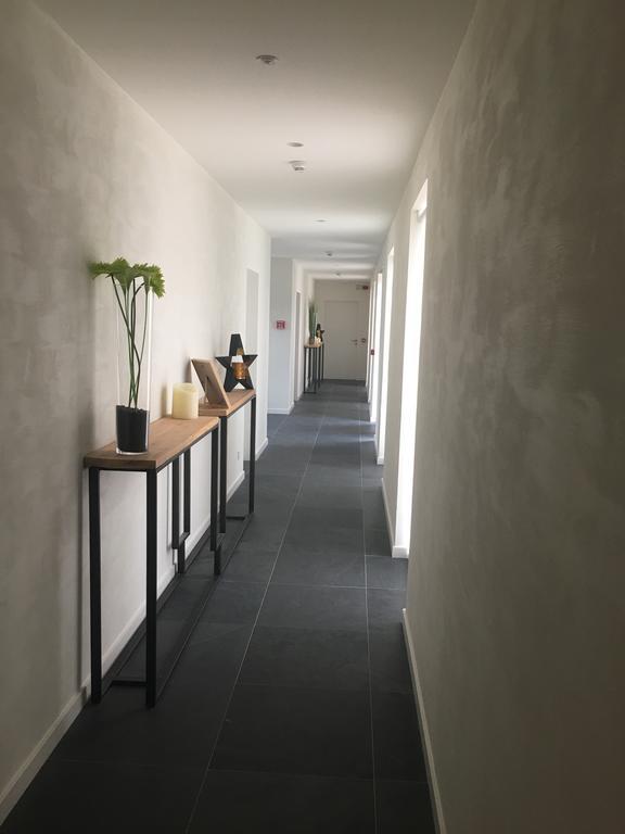B&B La Douceur De La Miclette Ellezelles Bagian luar foto