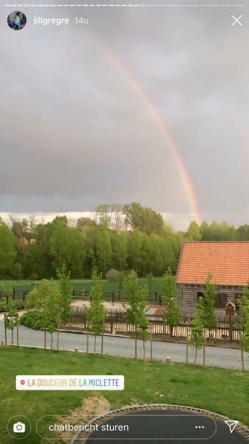 B&B La Douceur De La Miclette Ellezelles Bagian luar foto